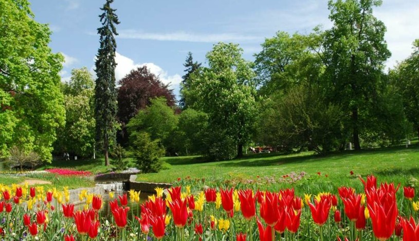 Butterfly Ensana Health Spa Hotel Mariánské Lázně